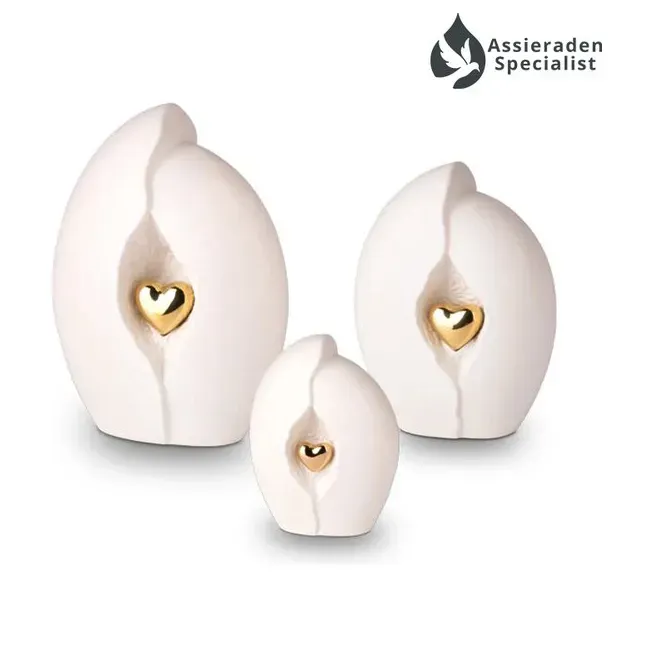 Keramische Urn - Urn Voor As Volwassen - Wit & Goudkleurig - 3.8 Liter - Waardig Gedenkteken - view 2