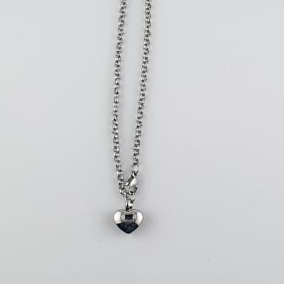 Ashanger met ketting - Hartje - Zilverkleurig - RVS - Gedenksieraad
