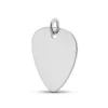Assieraden Specialist - Ashanger Plectrum - Liefde voor Muziek - 925 Sterling Zilver