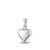 Assieraden Specialist - Langwerpig Hart Hanger - 925 Sterling Zilver - Modern Design